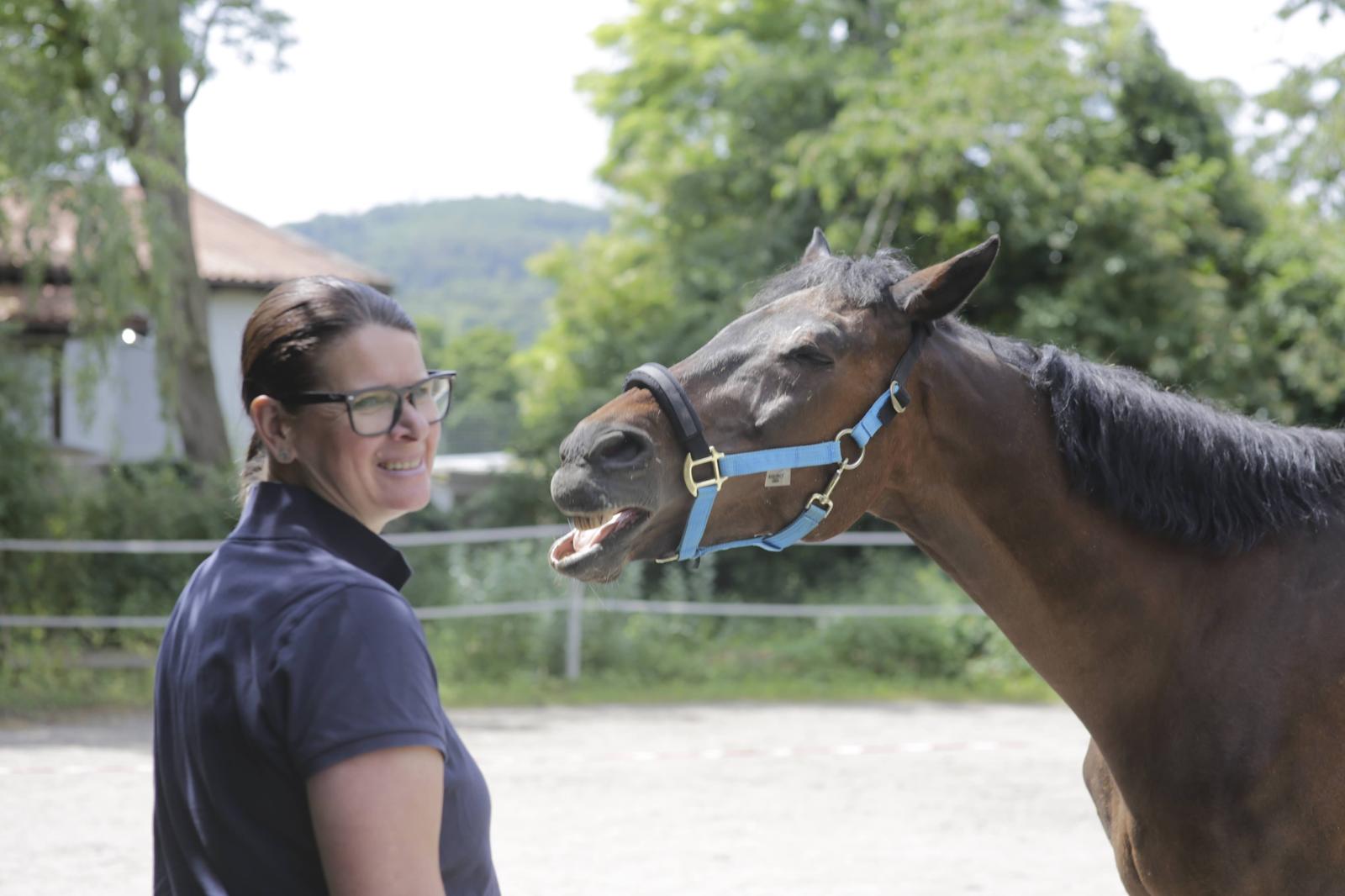 Katja im Gespräch mit einem Pferd, das entspannt und aufmerksam reagiert.