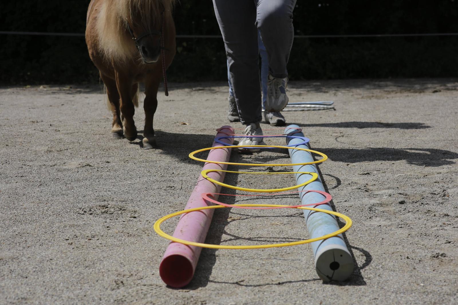 Ein Coaching-Teilnehmer führt ein Pony durch einen Bodenarbeits-Parcours.